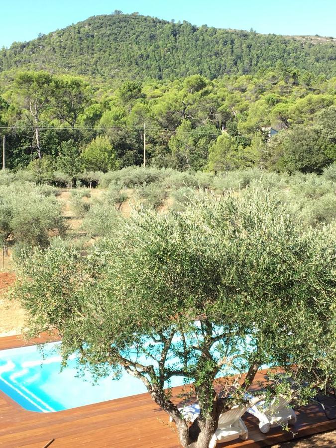 La Villa Aux Oliviers Le Val Exterior photo